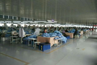 從衣線到菜籃 一位女工的跨界創業之路