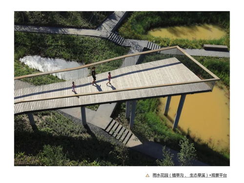 礦坑公園設計 2021浙江農林大學風景園林真題深度解析